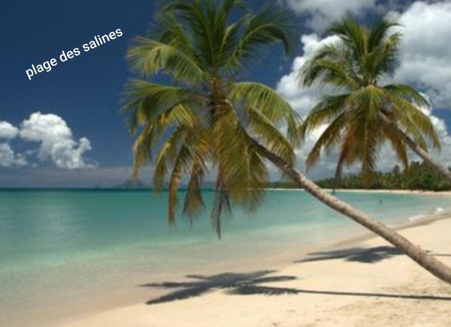 Appartement T2 Route Des Salines แซ็งแตนน์ ภายนอก รูปภาพ